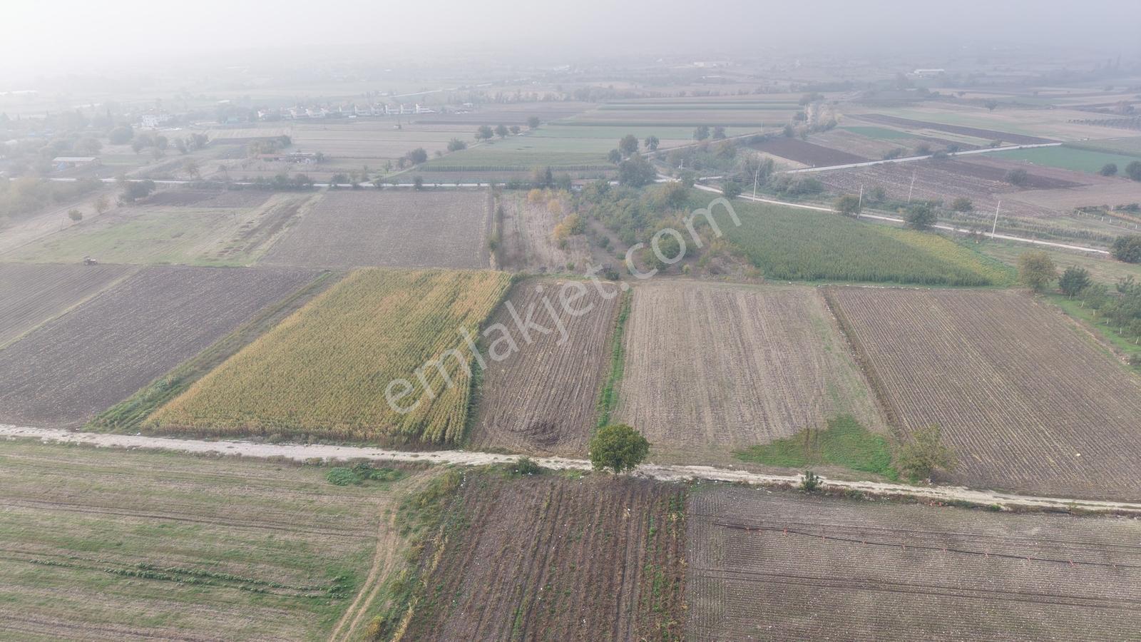 Balıkesir Altıeylül Pamukçuda Satılık 5.262 M² Tarla — fotoğraf 12