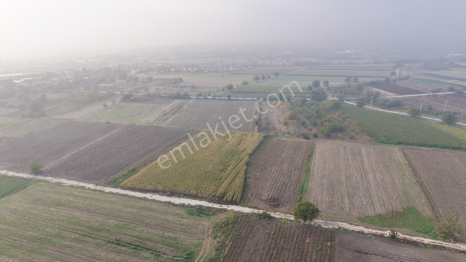 Balıkesir Altıeylül Pamukçuda Satılık 5.262 M² Tarla — fotoğraf 13