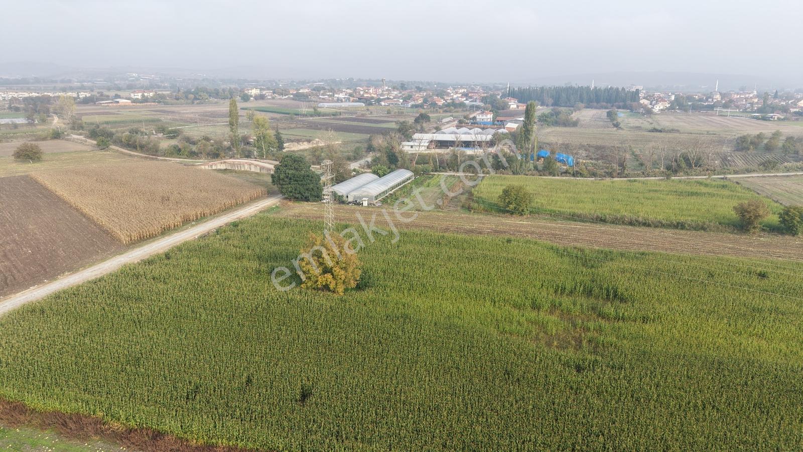 Balıkesir Altıeylül Pamukçuda Satılık 5.262 M² Tarla — fotoğraf 18
