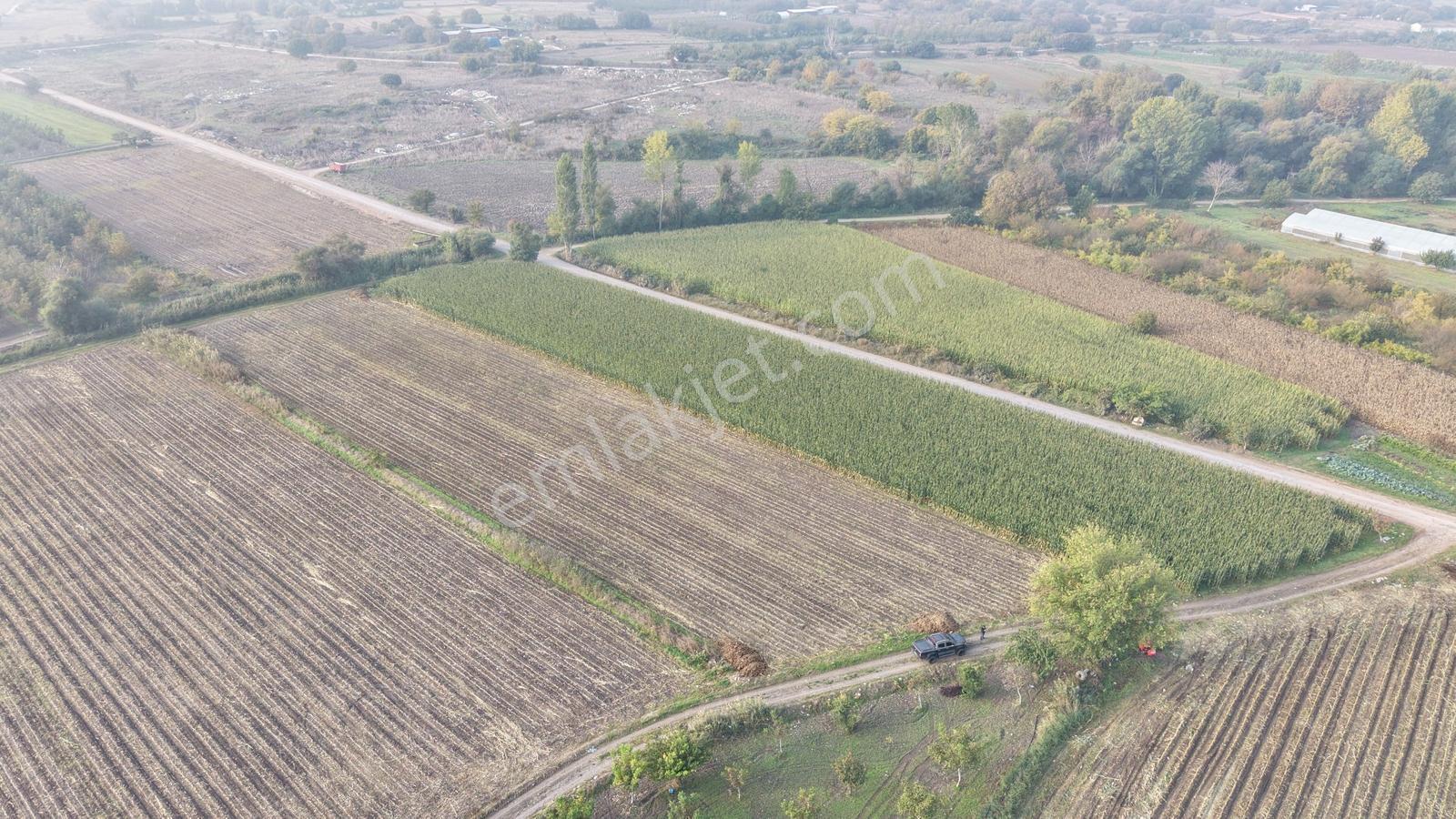 Balıkesir Altıeylül Pamukçuda Satılık 5.262 M² Tarla — fotoğraf 23