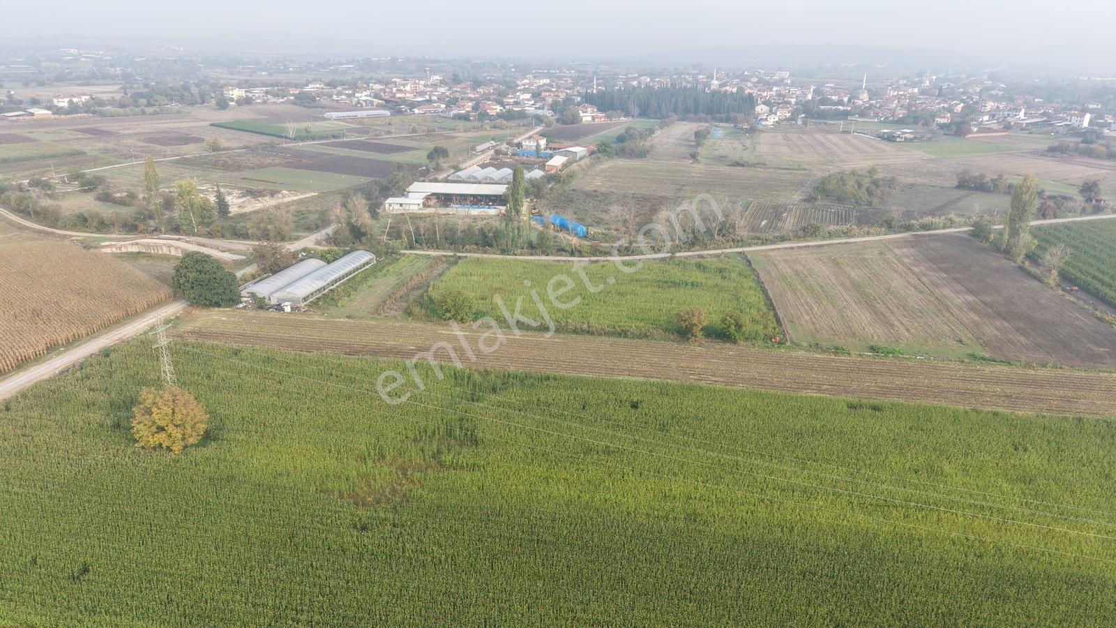Balıkesir Altıeylül Pamukçuda Satılık 5.262 M² Tarla — fotoğraf 24