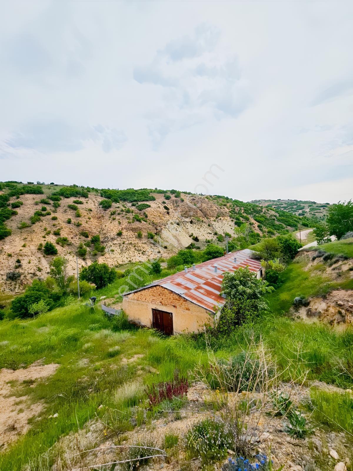 Harput Kurtdere Köyünde Asfalt Yola Sıfır Yatırımlık Tarla — fotoğraf 7