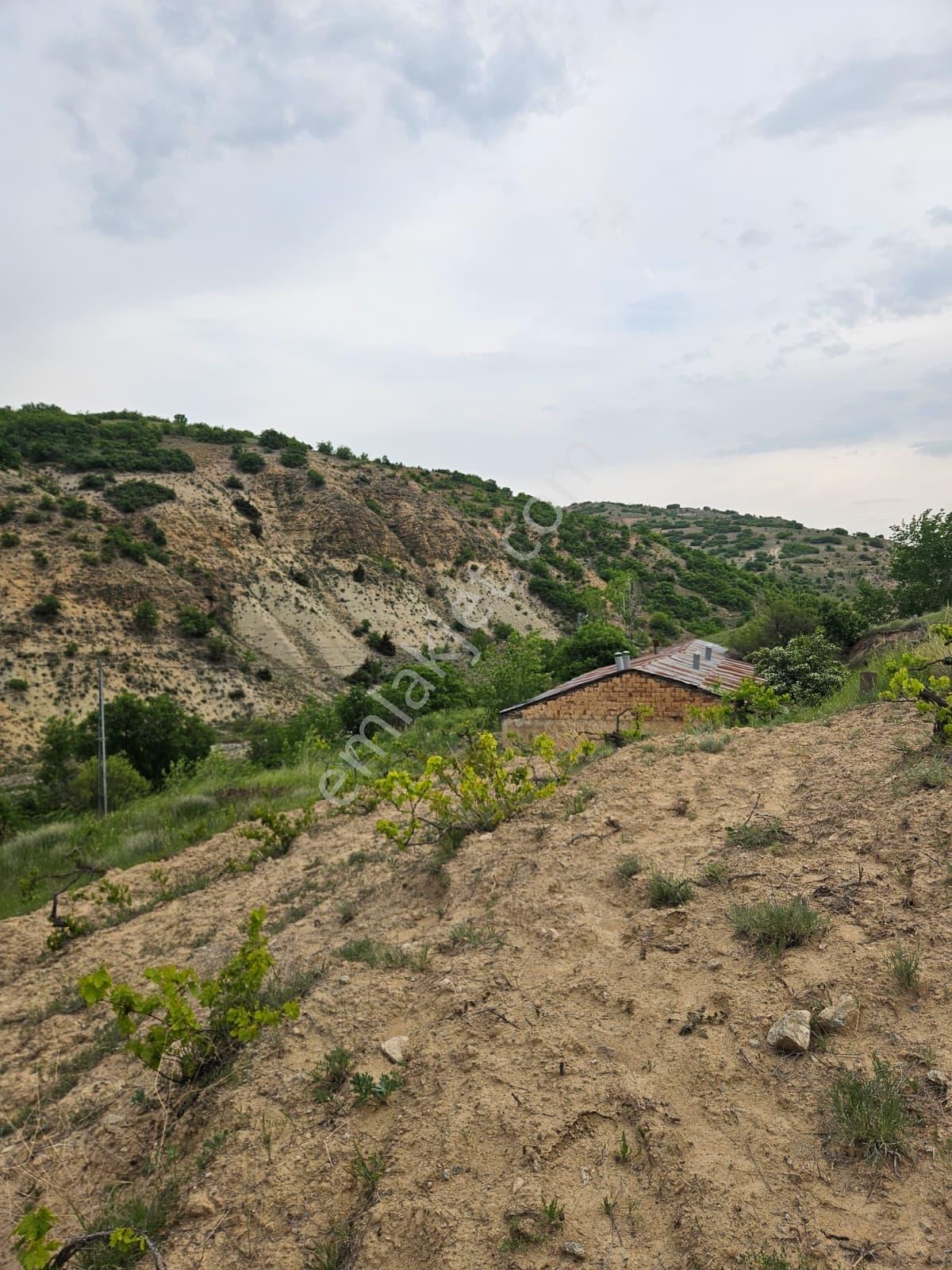 Harput Kurtdere Köyünde Asfalt Yola Sıfır Yatırımlık Tarla — fotoğraf 8