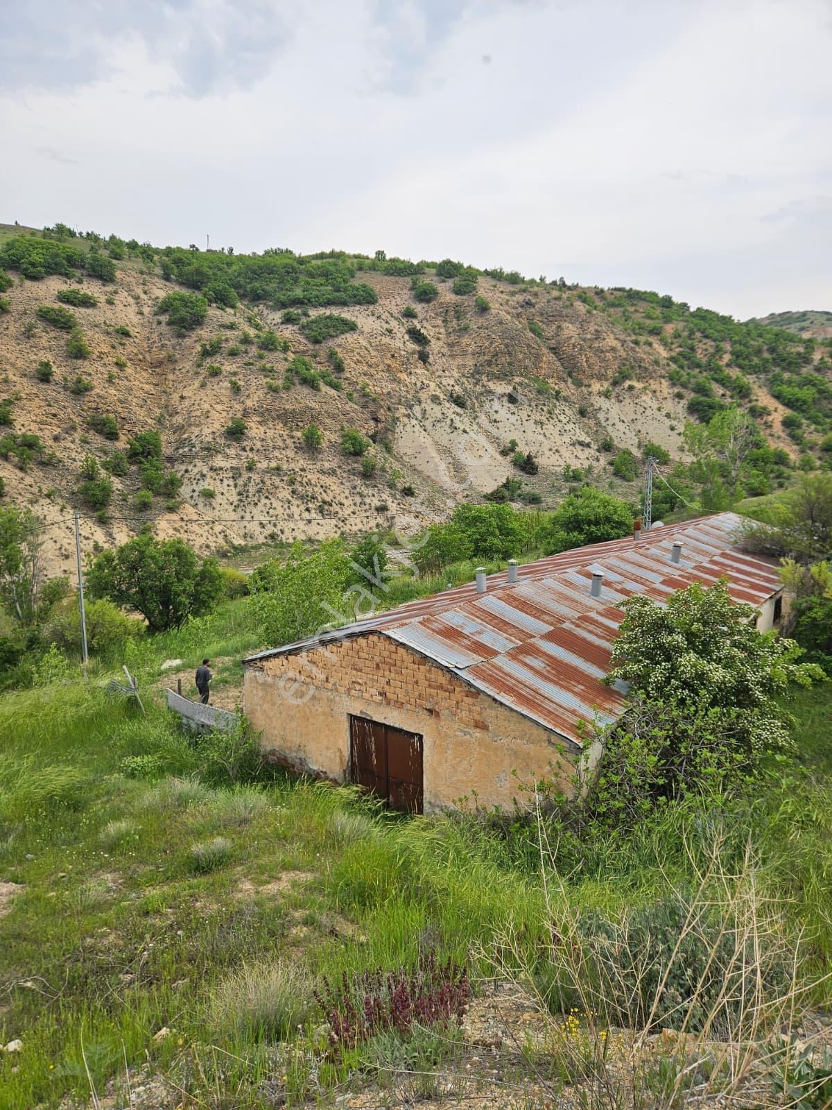 Harput Kurtdere Köyünde Asfalt Yola Sıfır Yatırımlık Tarla — fotoğraf 9