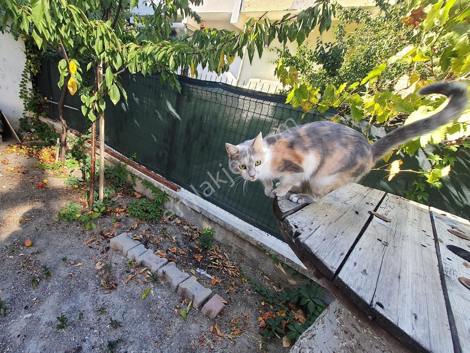 Başkent Üniversitesine 10 Dakika Mesafede 4+1 Villa — fotoğraf 12