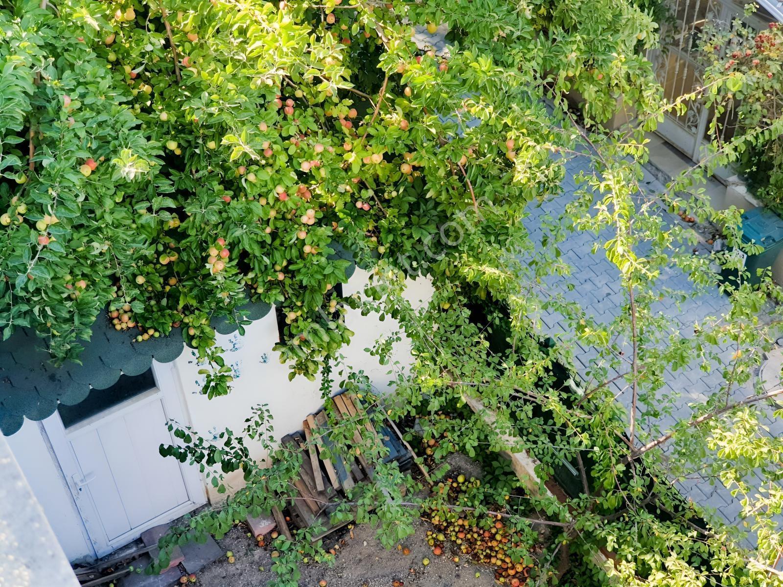 Başkent Üniversitesine 10 Dakika Mesafede 4+1 Villa — fotoğraf 27