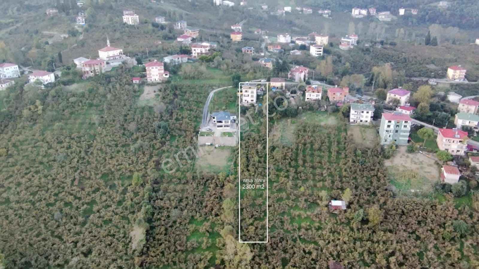 Gölçayır Mh Villa Ve 2300 M2 Arsa İle — fotoğraf 2