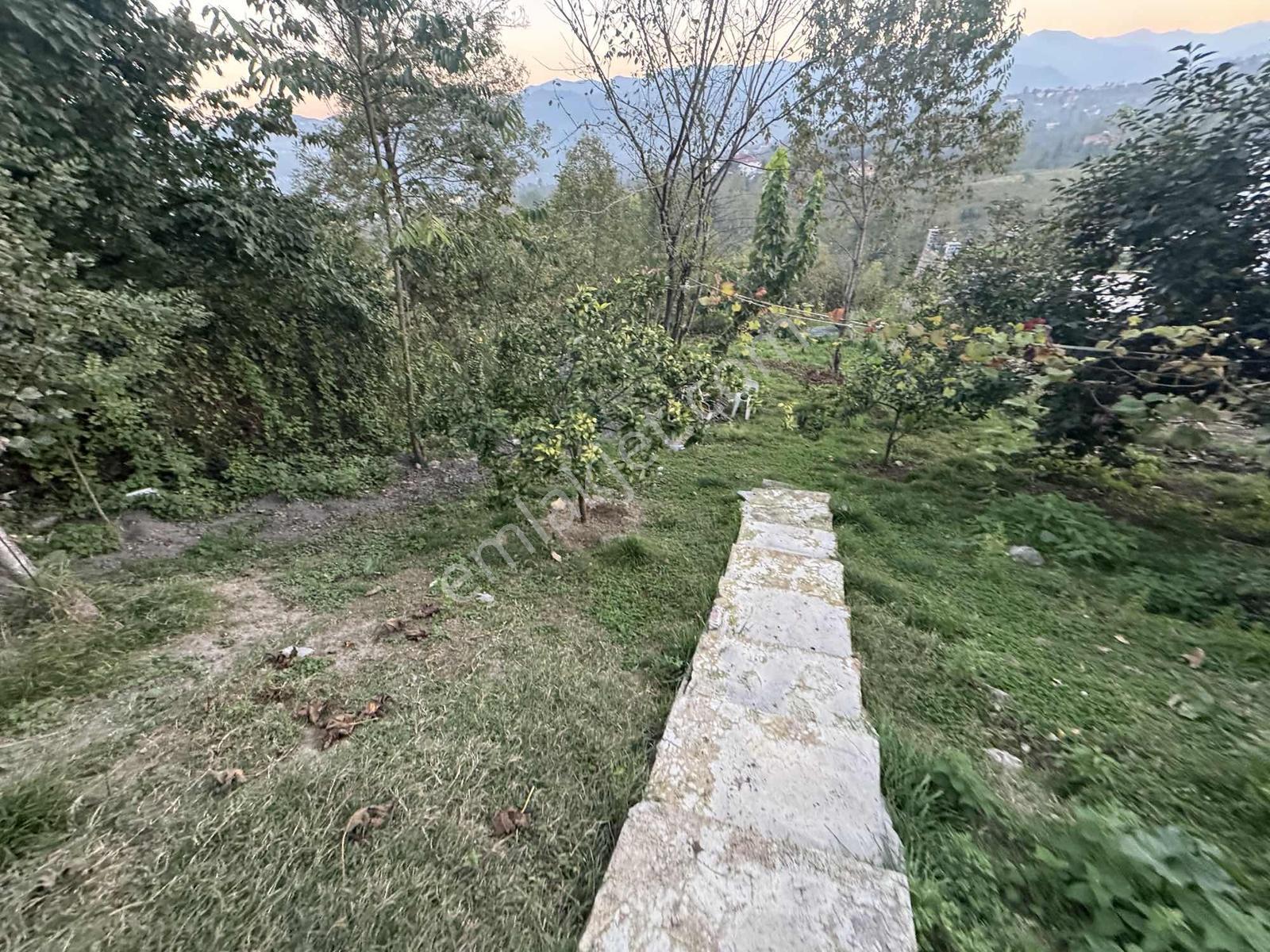 Gölçayır Mh Villa Ve 2300 M2 Arsa İle — fotoğraf 4