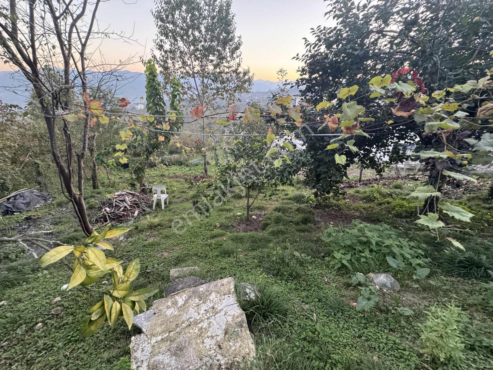 Gölçayır Mh Villa Ve 2300 M2 Arsa İle — fotoğraf 5