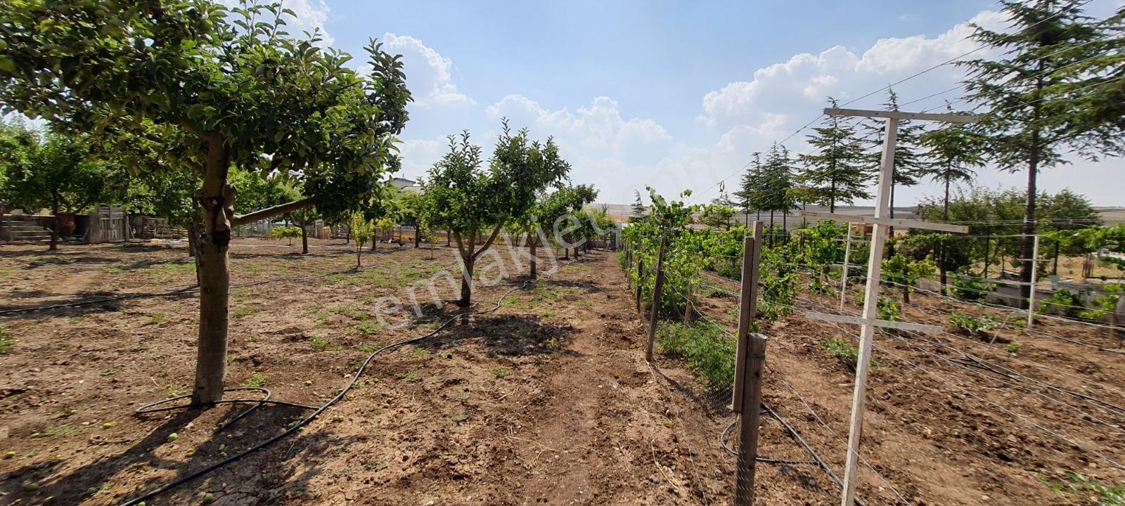 Ahiboz'da 6+2 Villa Yeşillikler İçinde Saklı Bir Cennet — fotoğraf 8