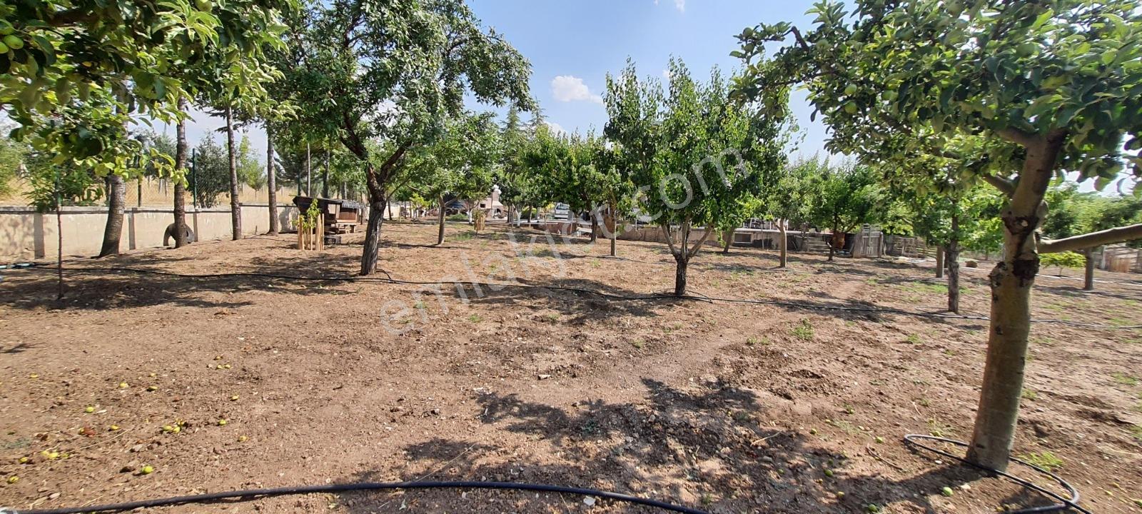 Ahiboz'da 6+2 Villa Yeşillikler İçinde Saklı Bir Cennet — fotoğraf 13