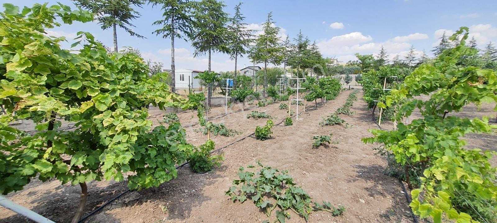 Ahiboz'da 6+2 Villa Yeşillikler İçinde Saklı Bir Cennet — fotoğraf 14