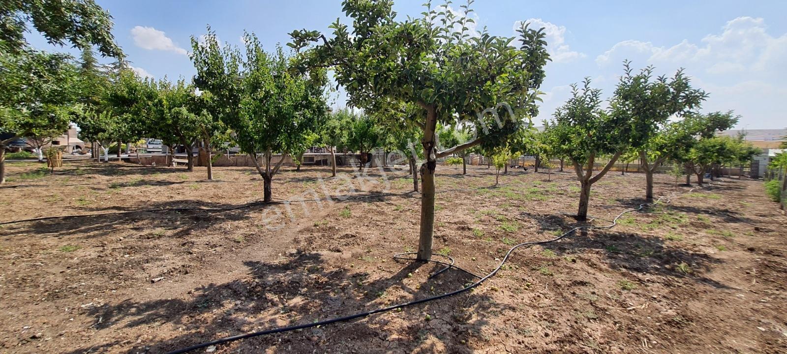 Ahiboz'da 6+2 Villa Yeşillikler İçinde Saklı Bir Cennet — fotoğraf 18