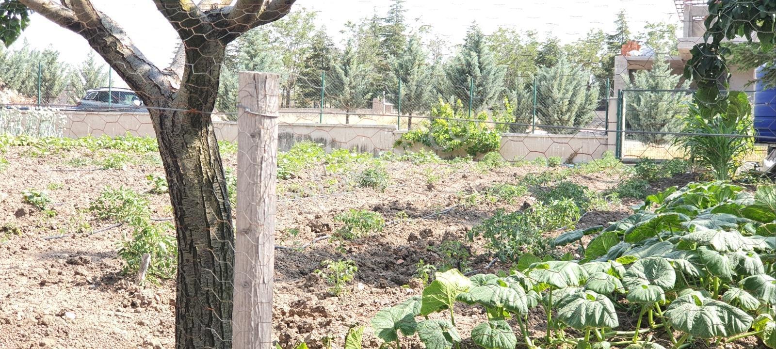 Ahiboz'da 6+2 Villa Yeşillikler İçinde Saklı Bir Cennet — fotoğraf 24