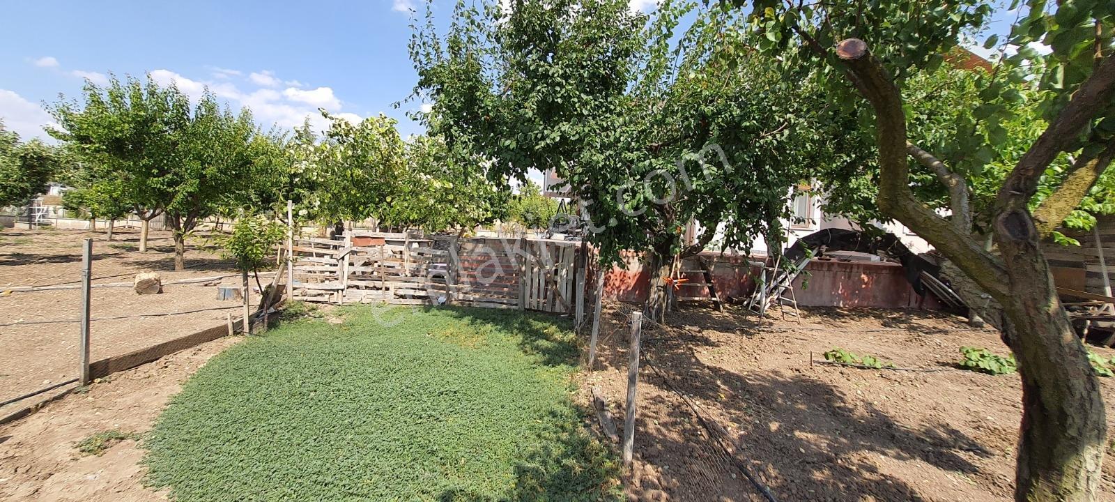 Ahiboz'da 6+2 Villa Yeşillikler İçinde Saklı Bir Cennet — fotoğraf 28
