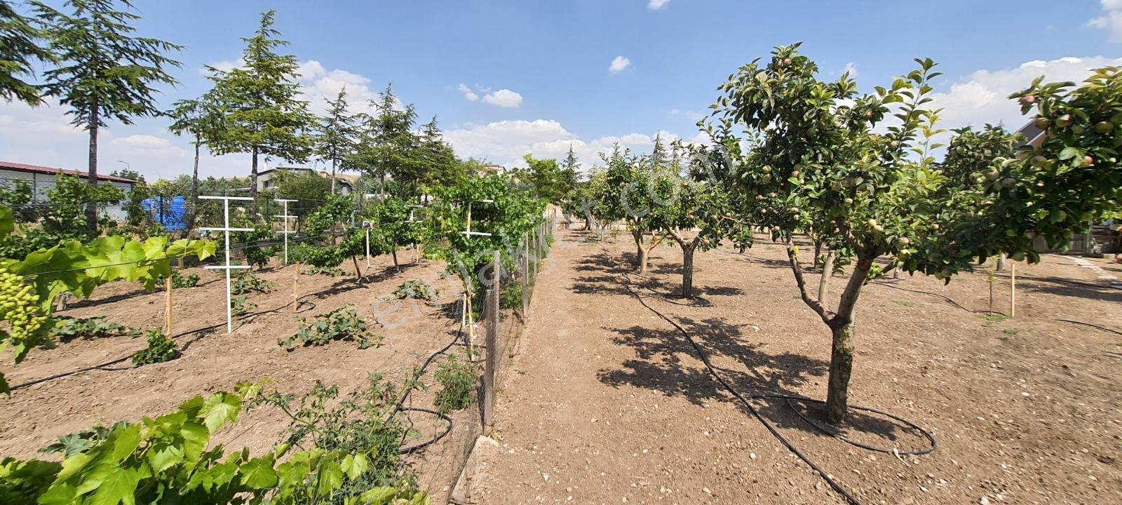 Ahiboz'da 6+2 Villa Yeşillikler İçinde Saklı Bir Cennet — fotoğraf 30