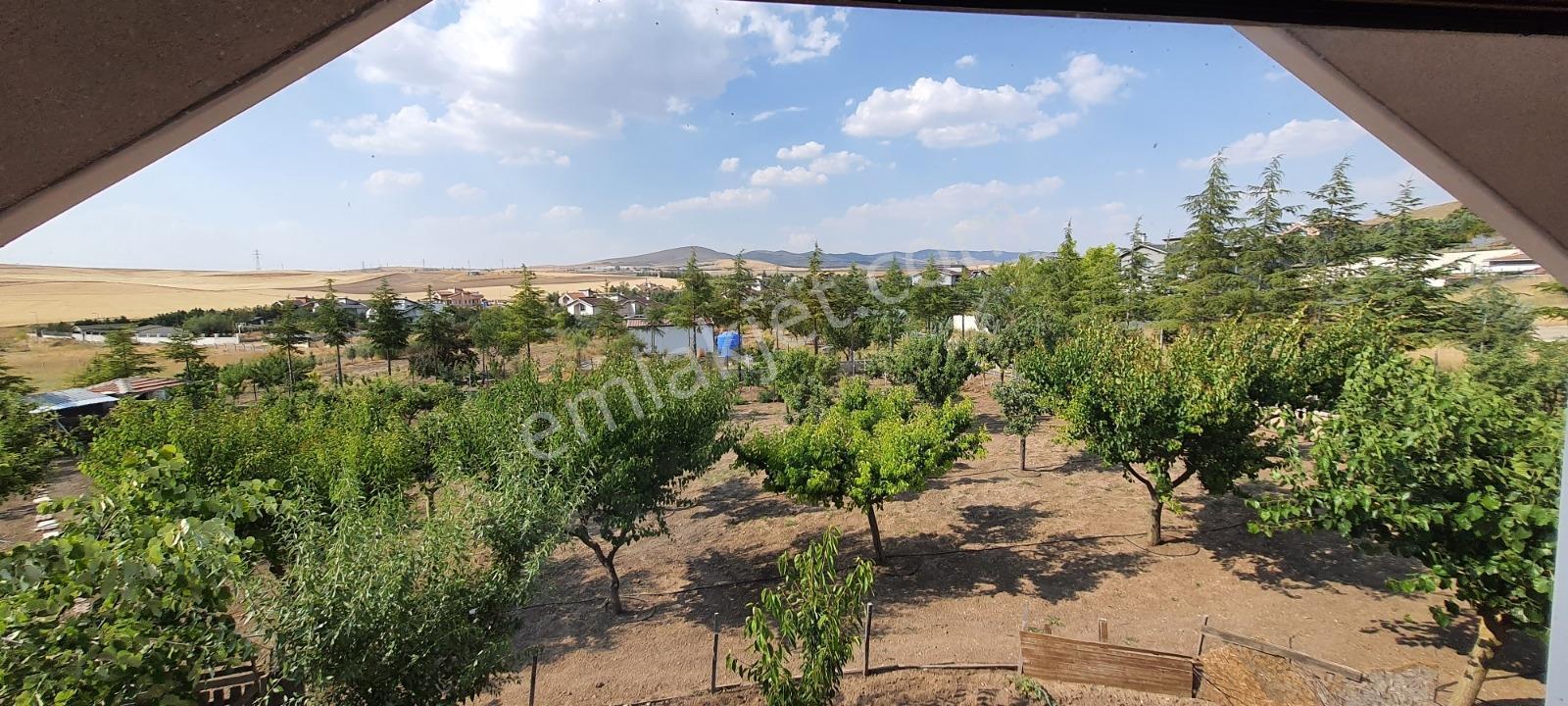 Ahiboz'da 6+2 Villa Yeşillikler İçinde Saklı Bir Cennet — fotoğraf 32