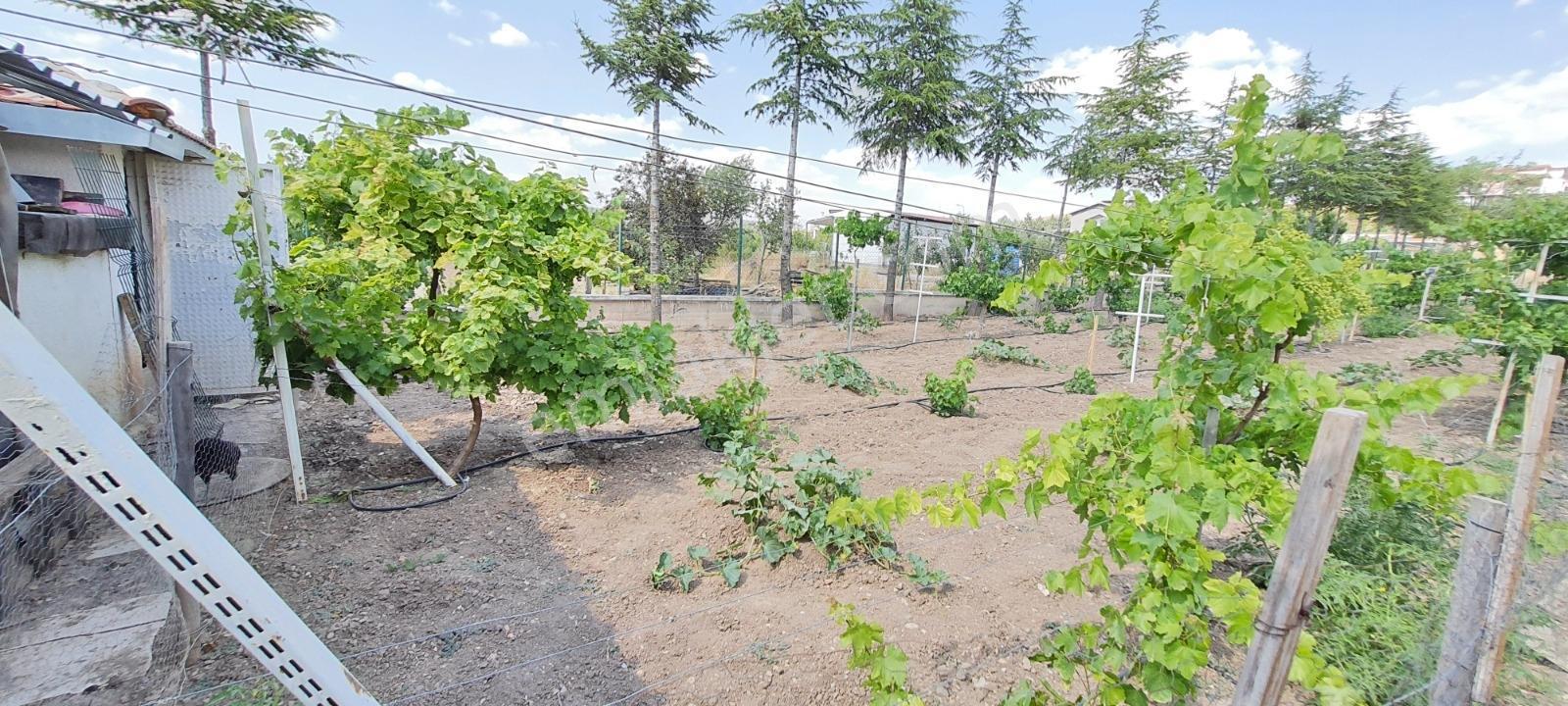 Ahiboz'da 6+2 Villa Yeşillikler İçinde Saklı Bir Cennet — fotoğraf 34