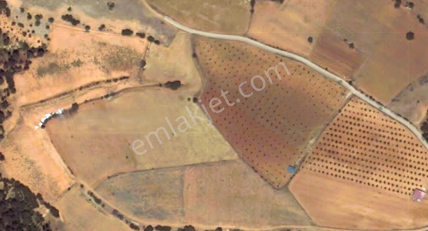 Lobby Fortisten Çal.Peynircilerde 23.131 M2 Satılık Tarla