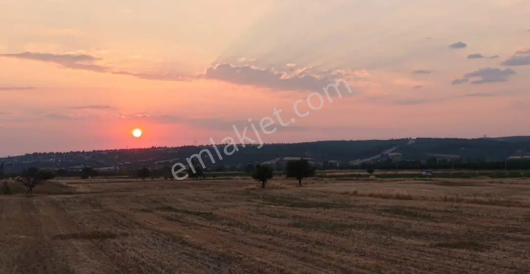 Tavas Satılık Tarla — fotoğraf 2