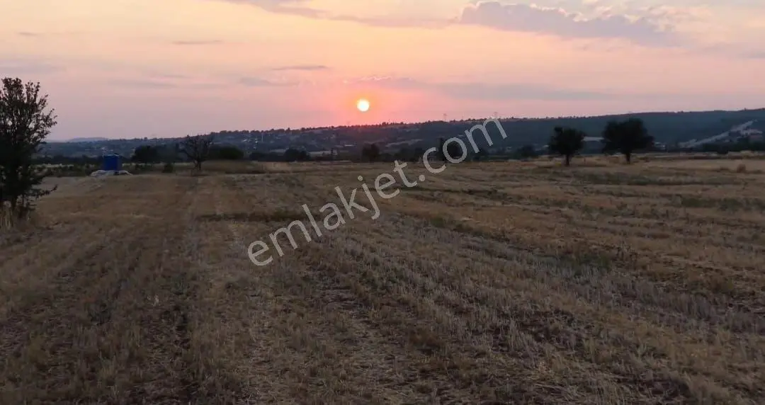 Tavas Satılık Tarla — fotoğraf 3