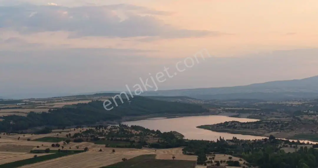Tavas Satılık Tarla — fotoğraf 4