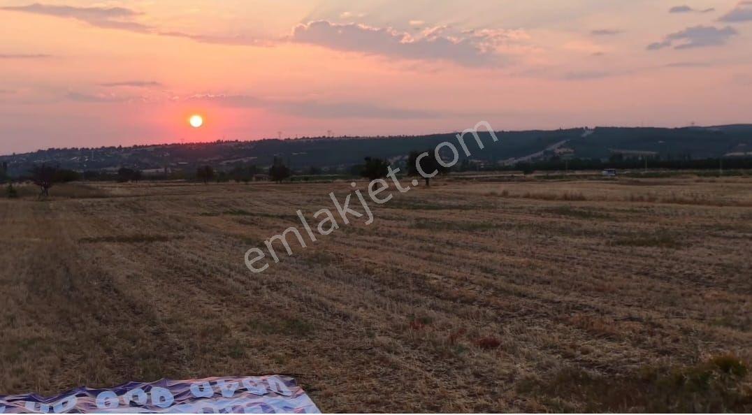 Tavas Satılık Tarla — fotoğraf 6