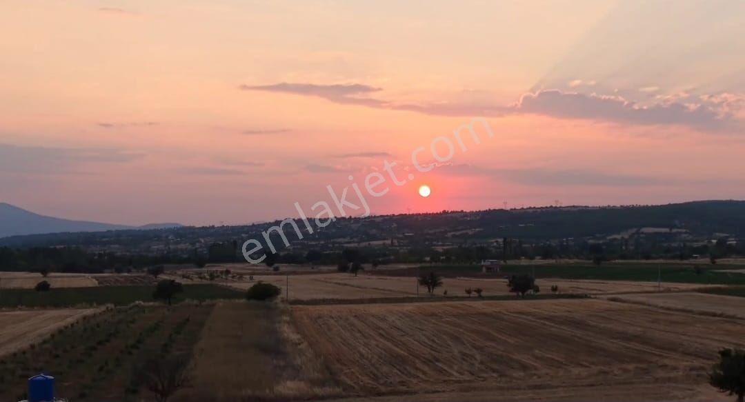 Tavas Satılık Tarla — fotoğraf 7