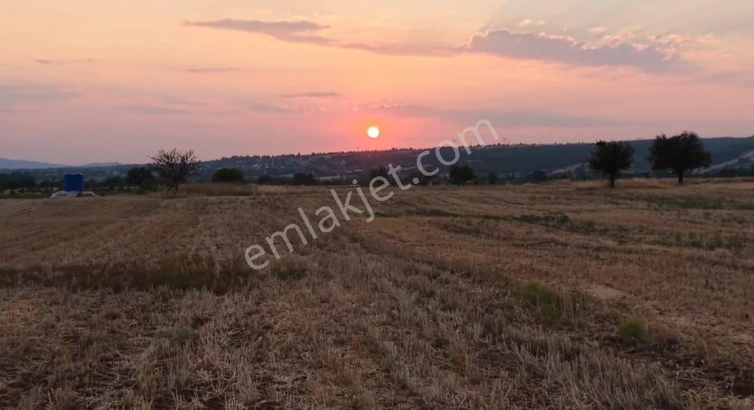 Tavas Satılık Tarla — fotoğraf 8