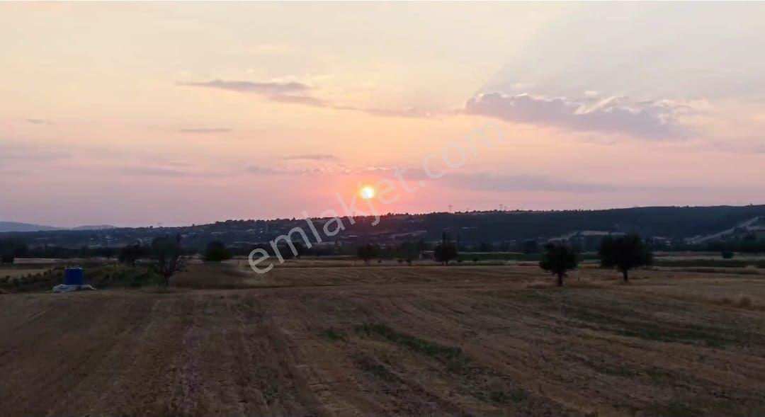 Tavas Satılık Tarla — fotoğraf 11