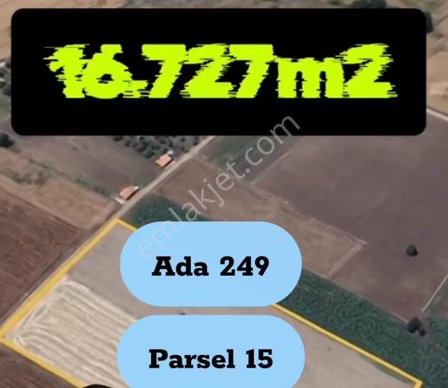 Tavas Satılık Tarla — fotoğraf 12