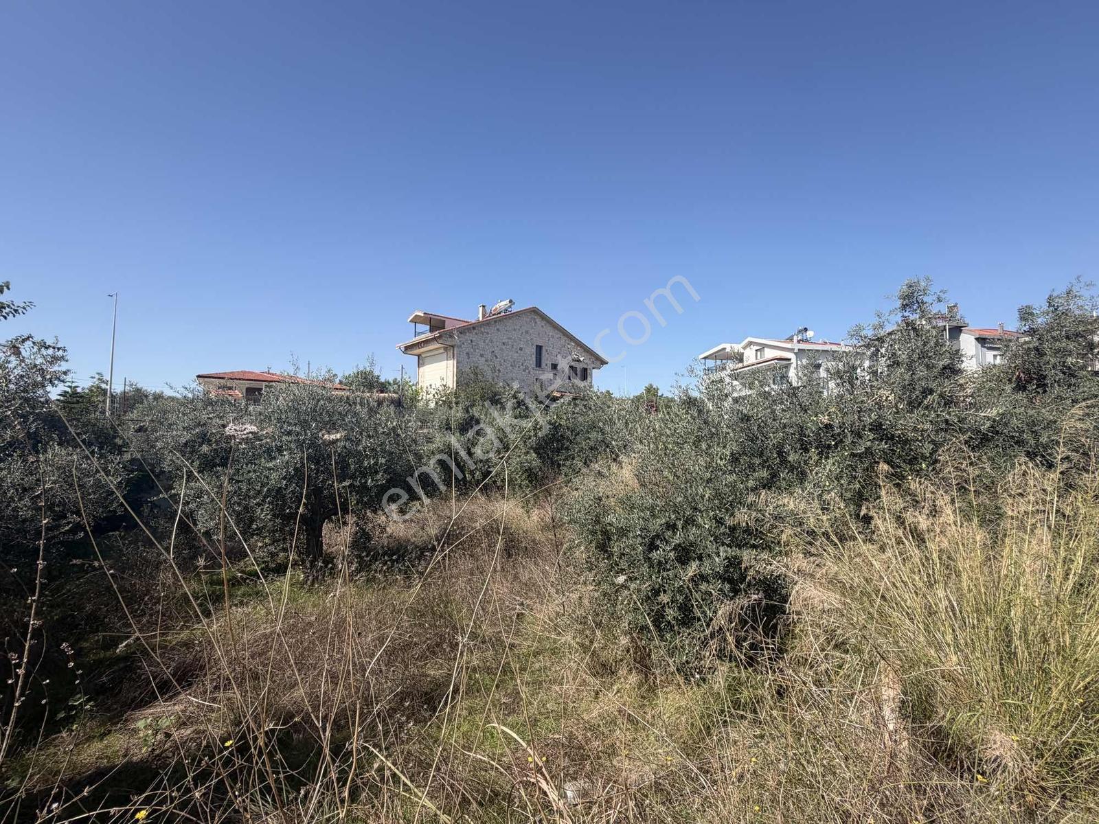 Ilıcada Villalık Harika Arsa — fotoğraf 3