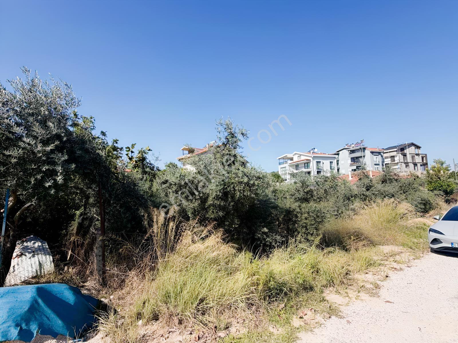 Ilıcada Villalık Harika Arsa — fotoğraf 5