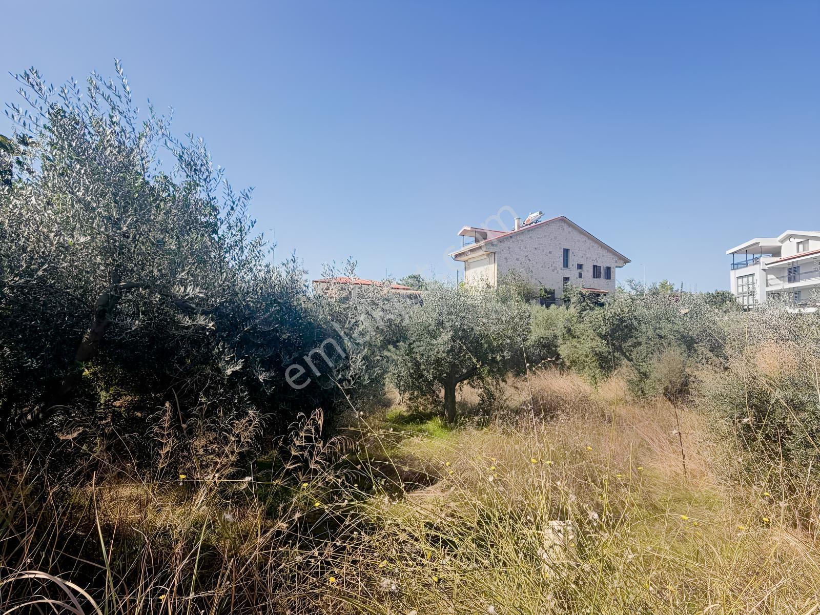 Ilıcada Villalık Harika Arsa — fotoğraf 6
