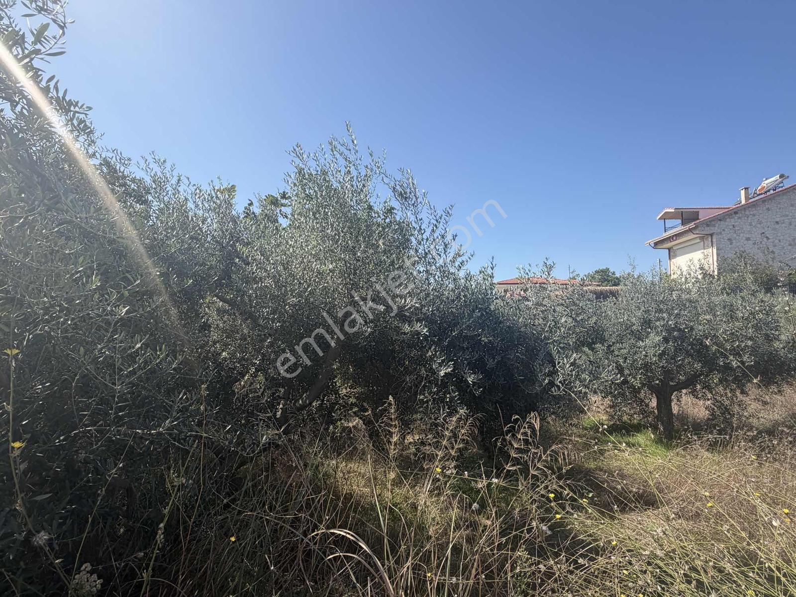 Ilıcada Villalık Harika Arsa — fotoğraf 12