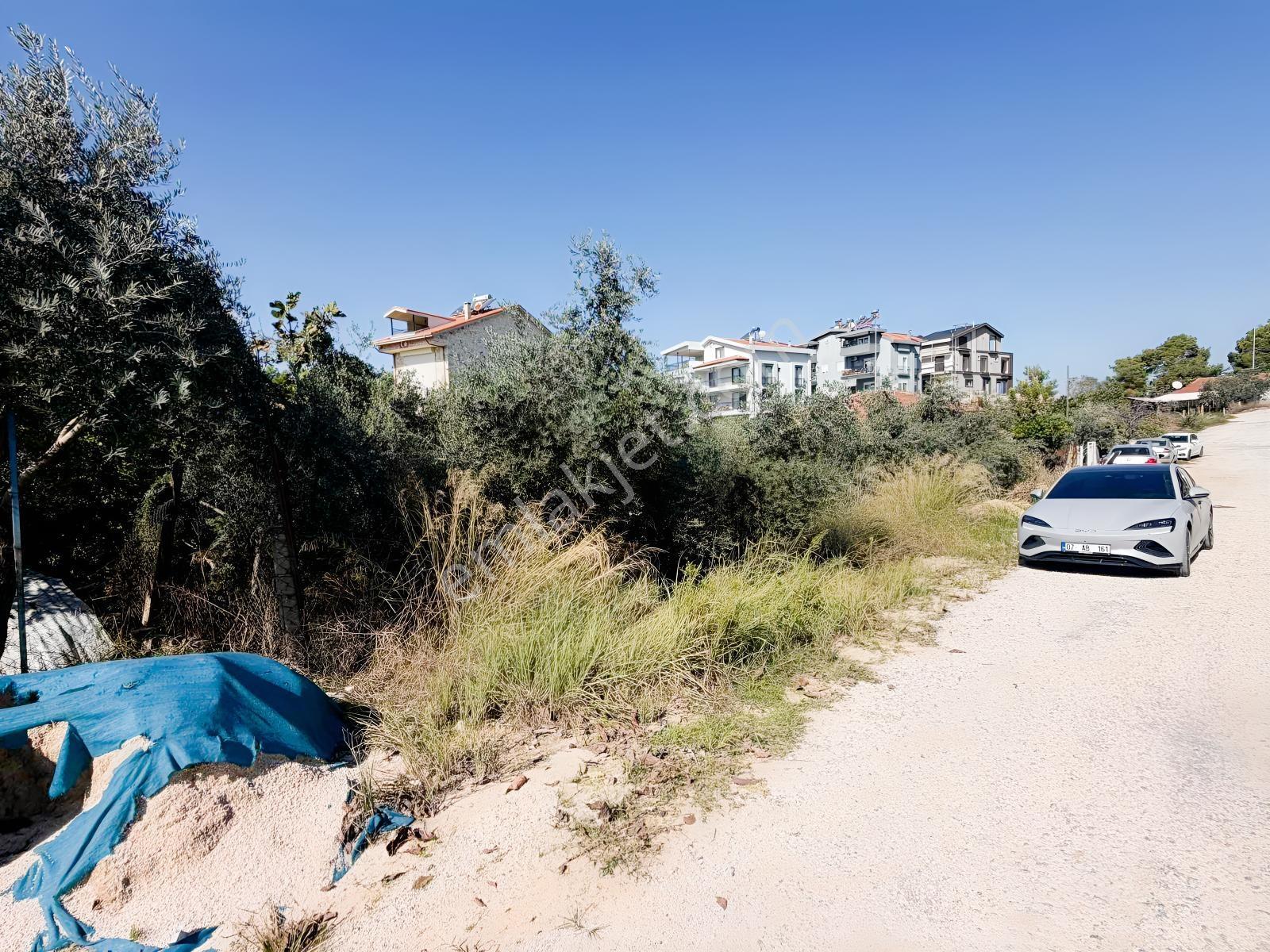 Ilıcada Villalık Harika Arsa — fotoğraf 13