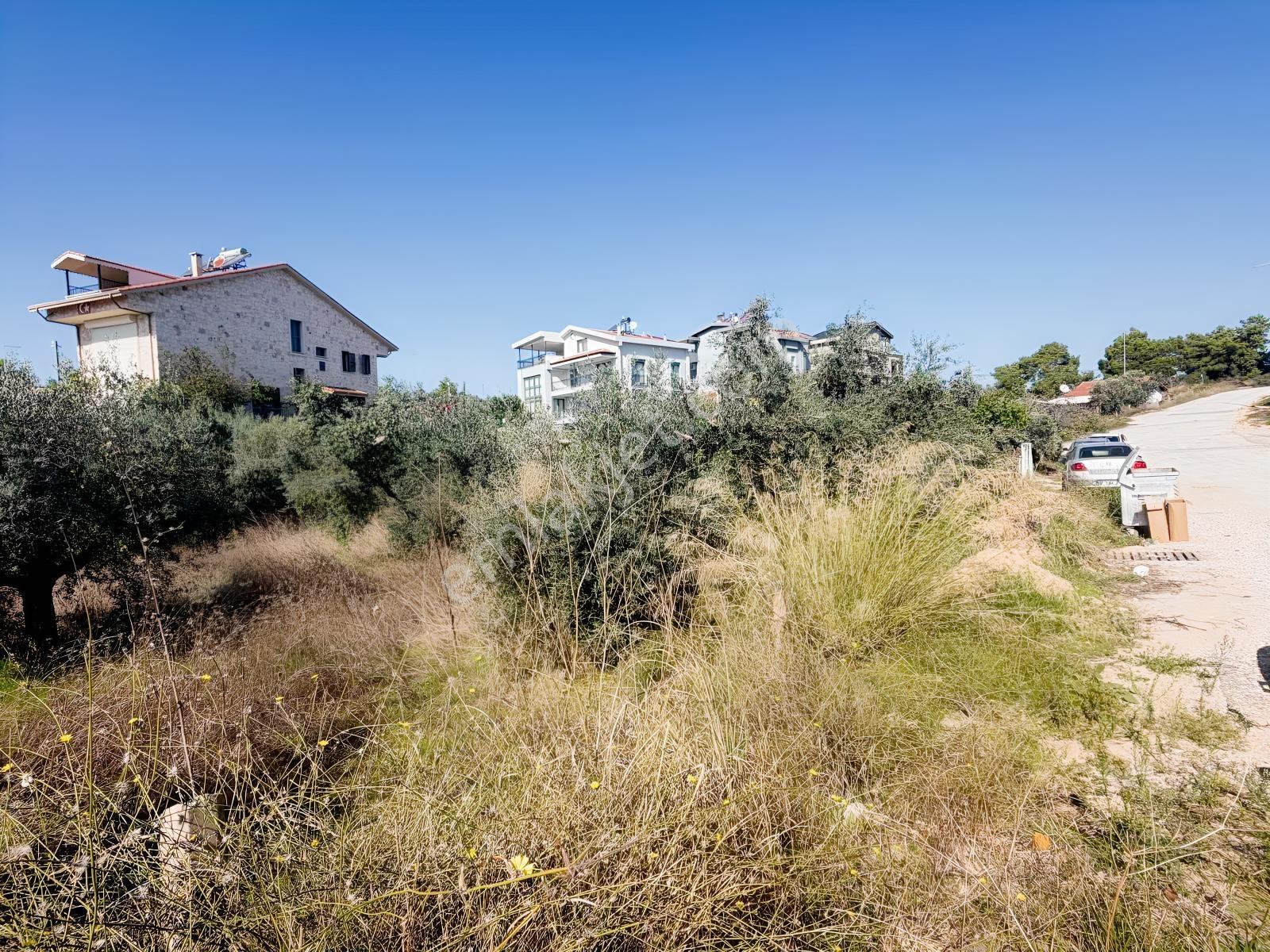 Ilıcada Villalık Harika Arsa — fotoğraf 14