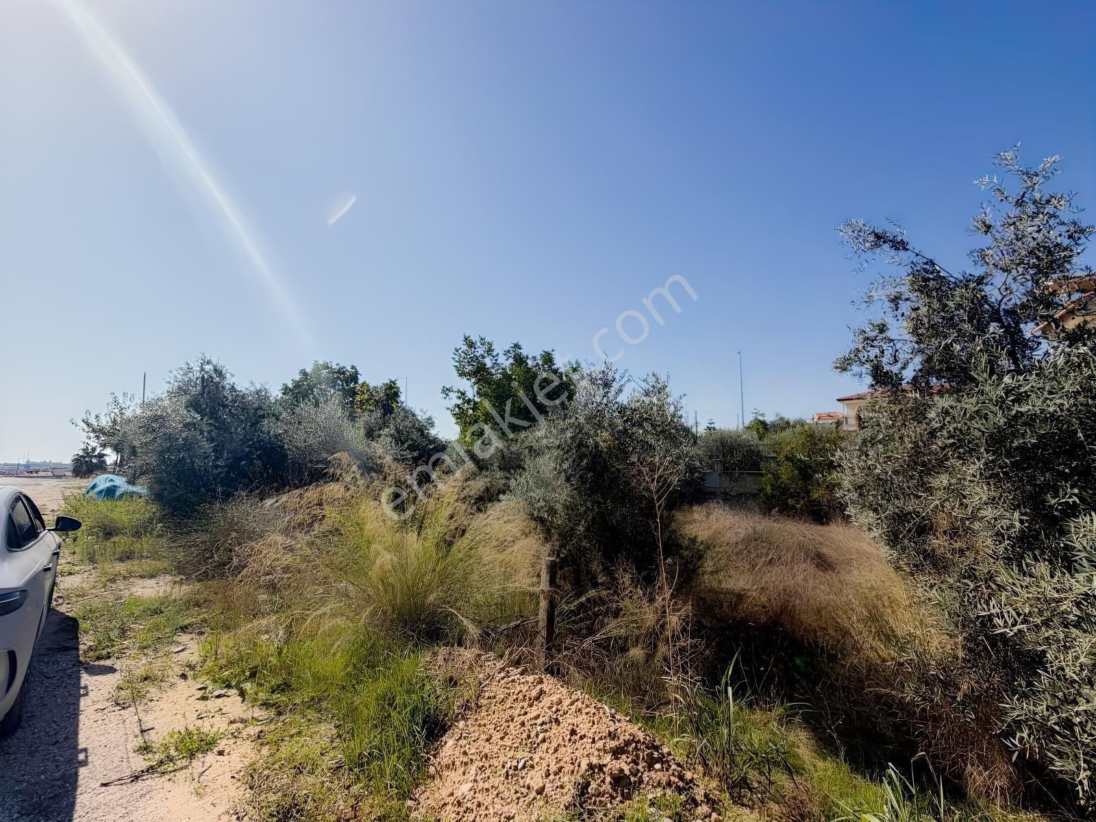 Ilıcada Villalık Harika Arsa — fotoğraf 16