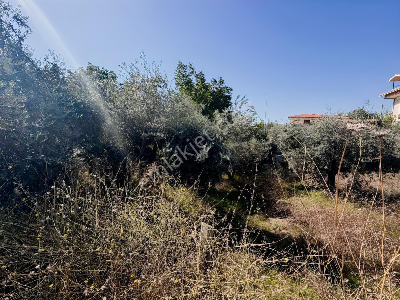Ilıcada Villalık Harika Arsa — fotoğraf 18