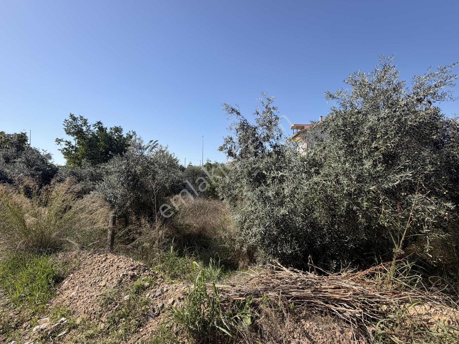 Ilıcada Villalık Harika Arsa — fotoğraf 19