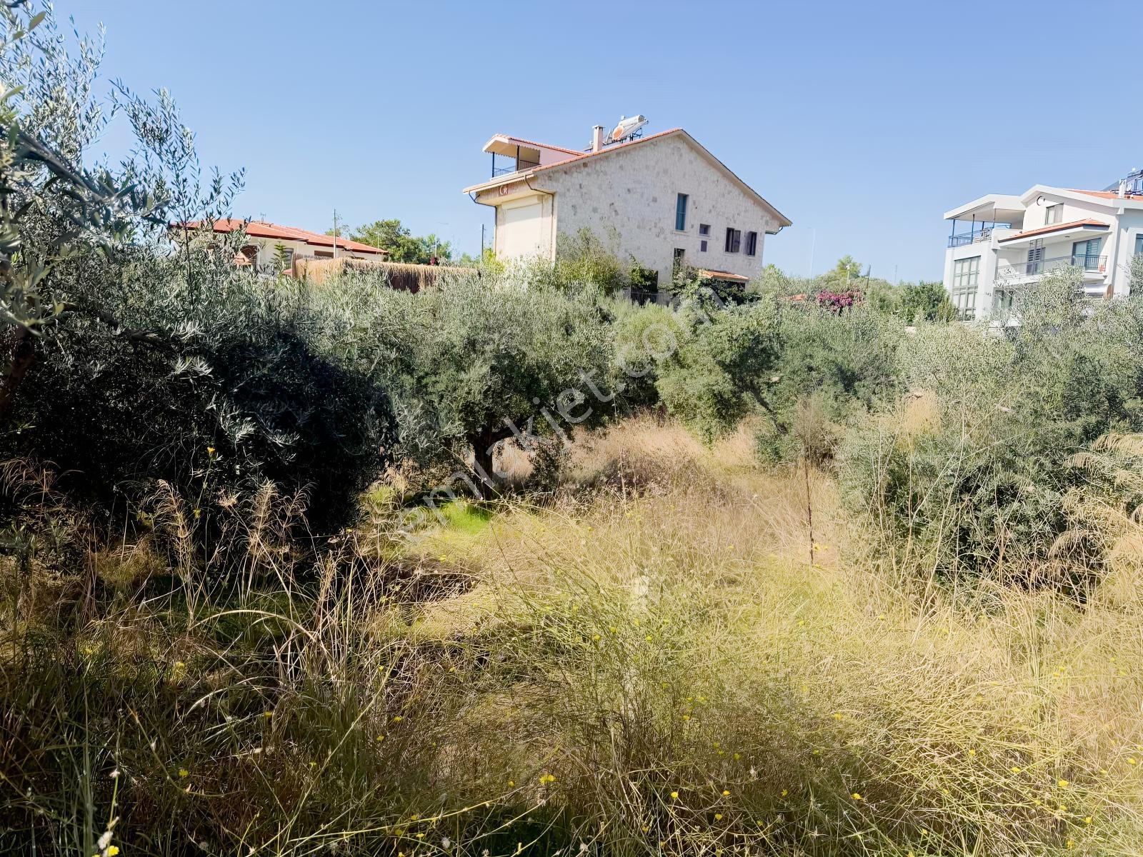 Ilıcada Villalık Harika Arsa — fotoğraf 22