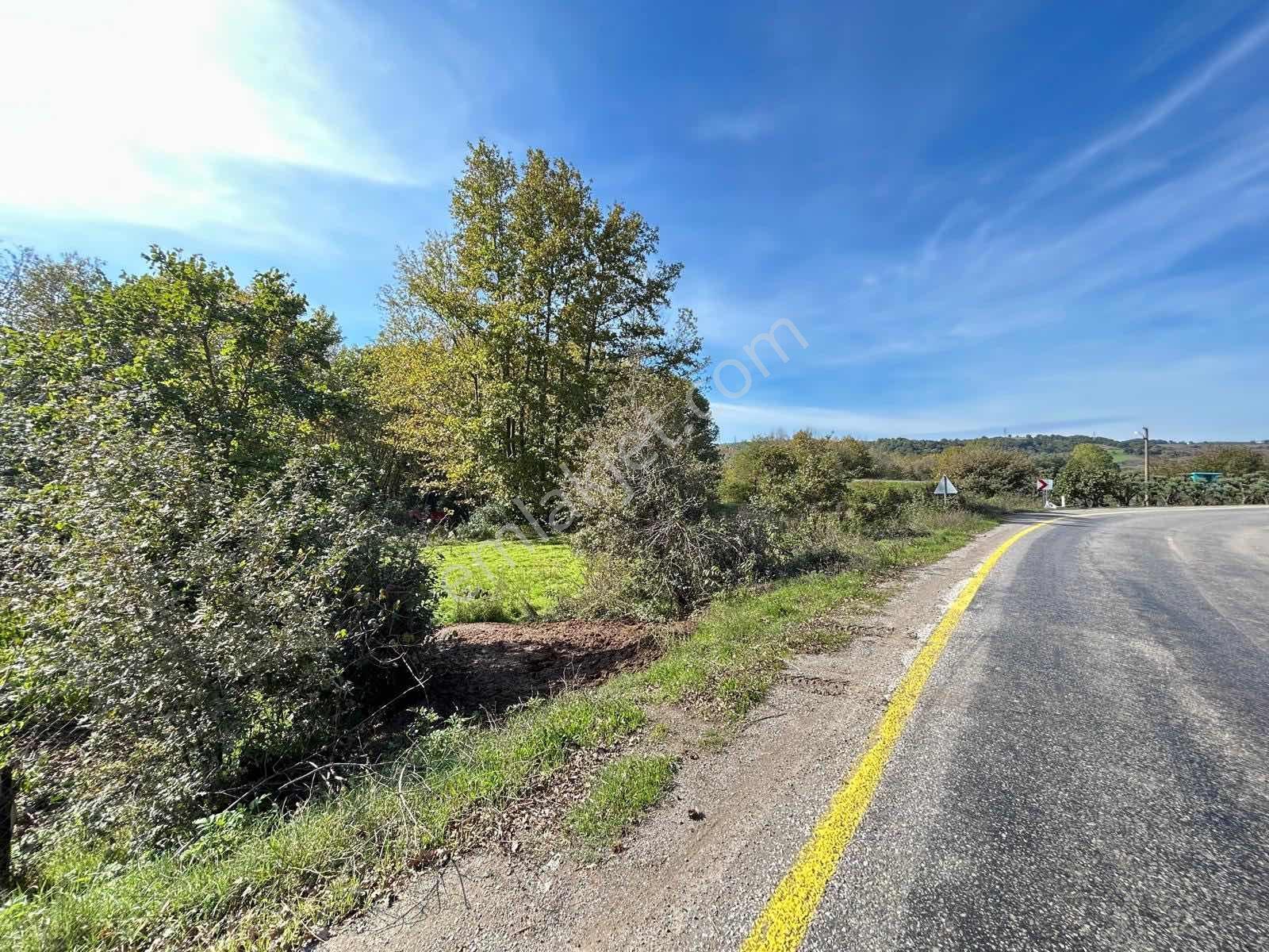 Karamürsel Yalakderede Anayola Cepheli 5.940m2 Satılık Arsa — fotoğraf 5
