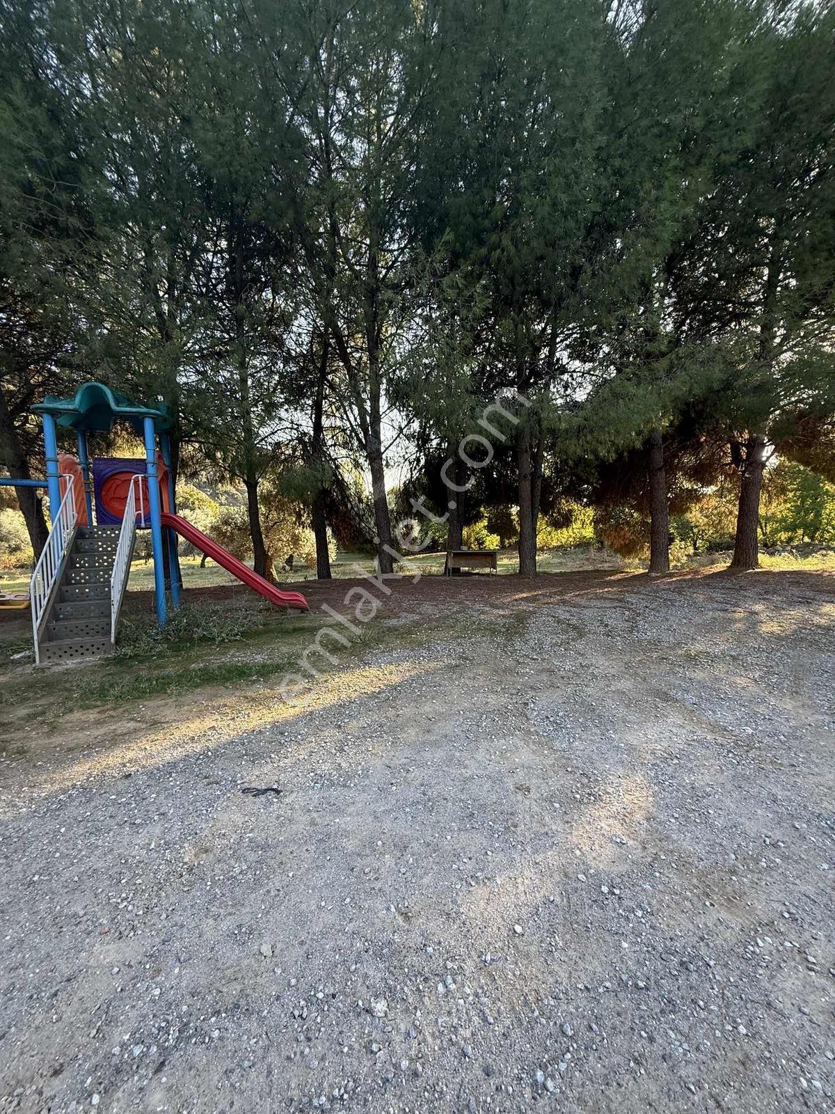 Aydın Efeler Aşağıkayacıkta Satılık İncir Bahçesi&zeytinlik — fotoğraf 17