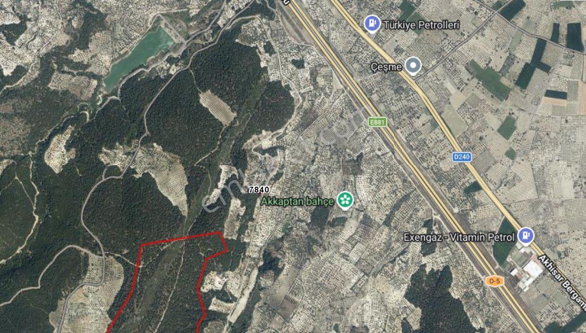 Kırkağaç Bakır'da Doğayla İç İçe 482 M² Satılık Zeytinli Tarla! — fotoğraf 11