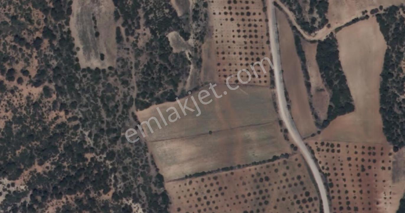 Lobby Fortisten Çal Sakızcılar 8.700 M2 Satılık Tarla — fotoğraf 4