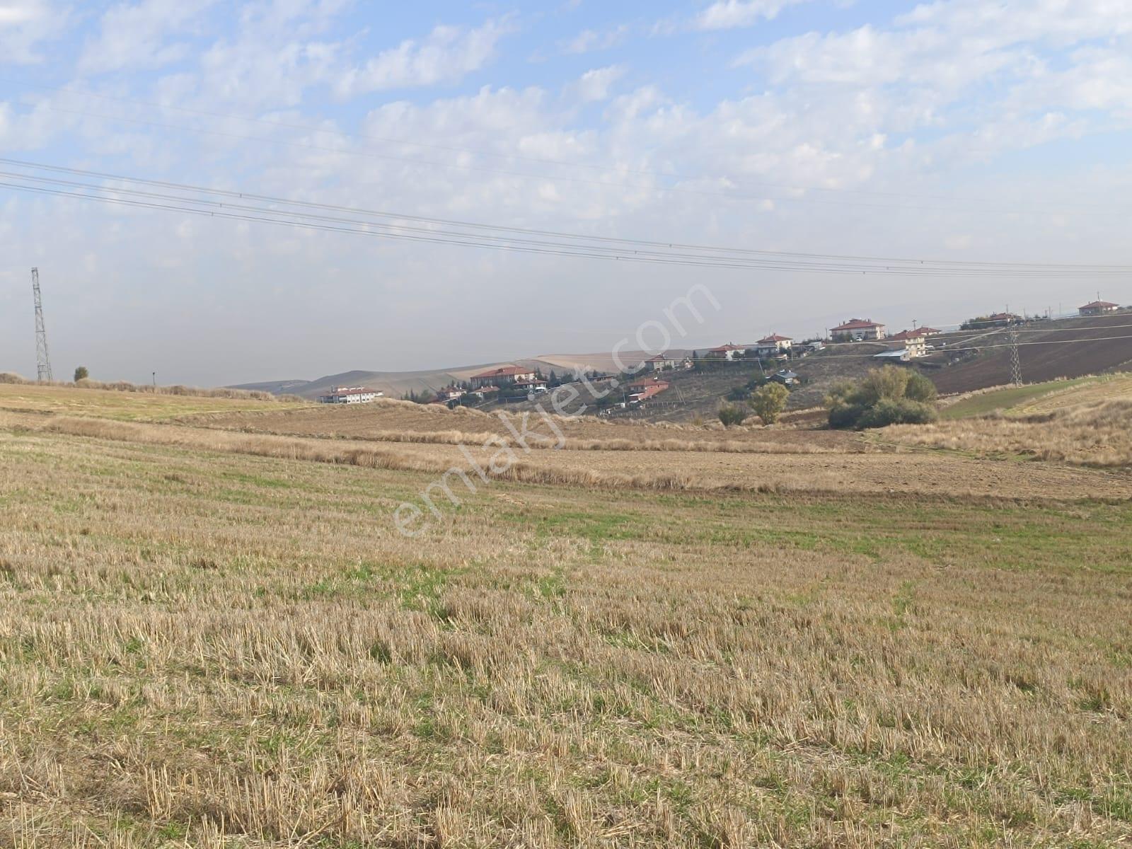 Barut Emlak Altınova Gicik Yolun Yakın İmarli Arsa Hissesi — fotoğraf 3