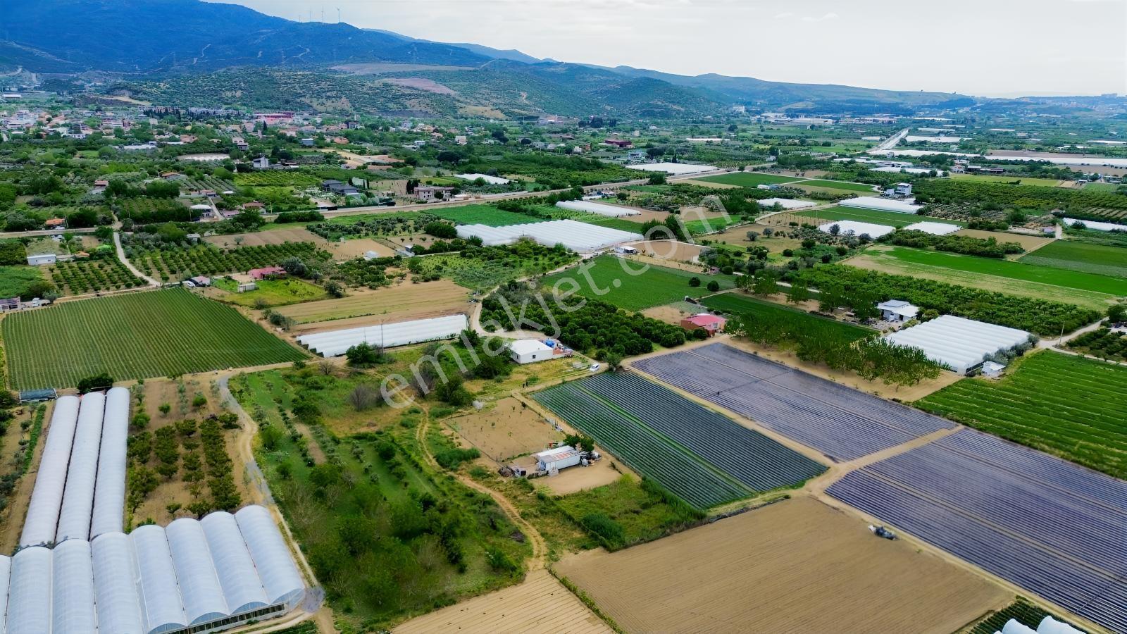 Menemen Yayla Mahallesinde Muhteşem Bölgede Satılık Tarla — fotoğraf 4