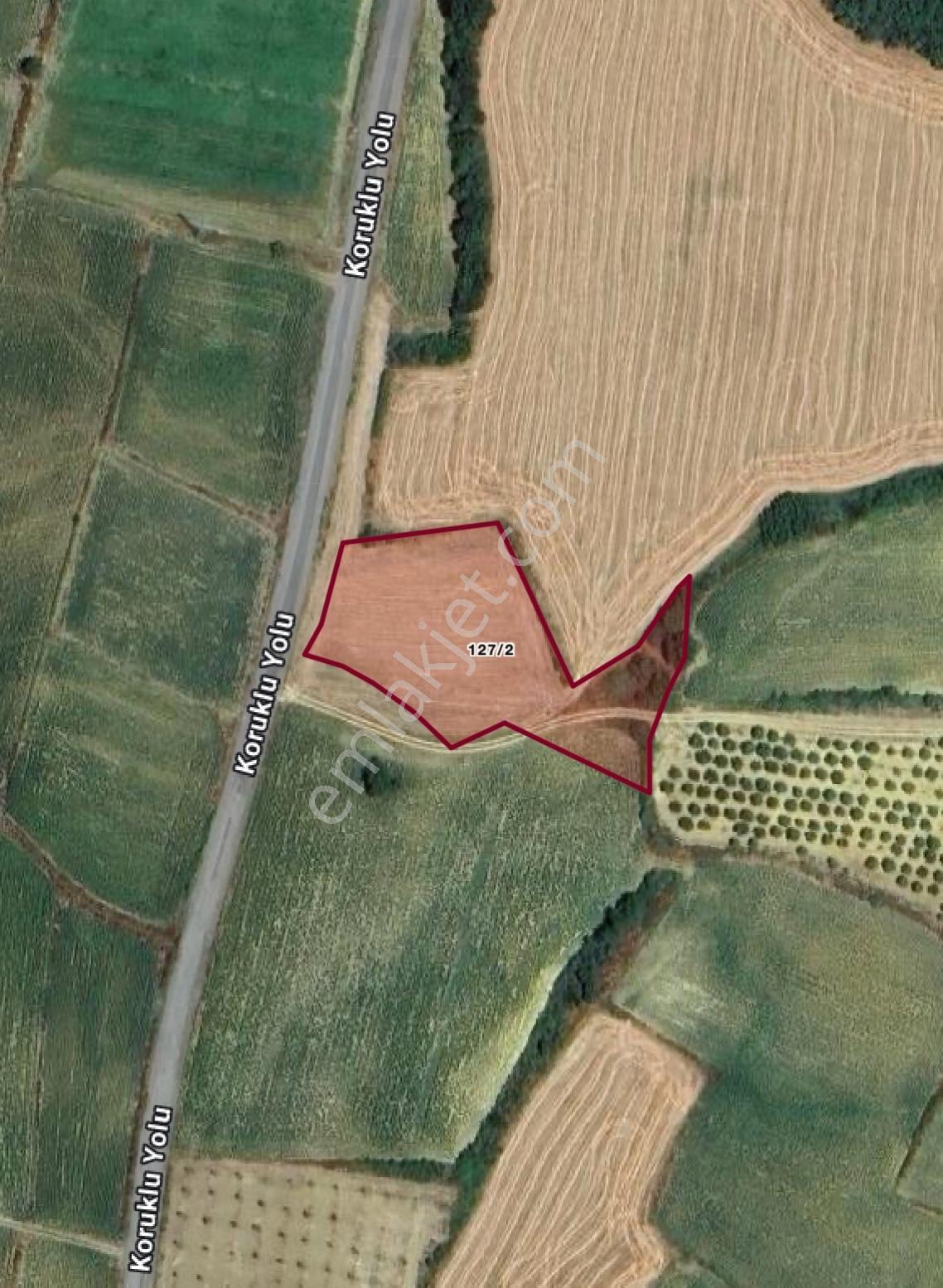 Arsambenim'den Erikli Plajına 5 Dk-asfalt Cepheli 3.832 M2 Tarla — fotoğraf 4