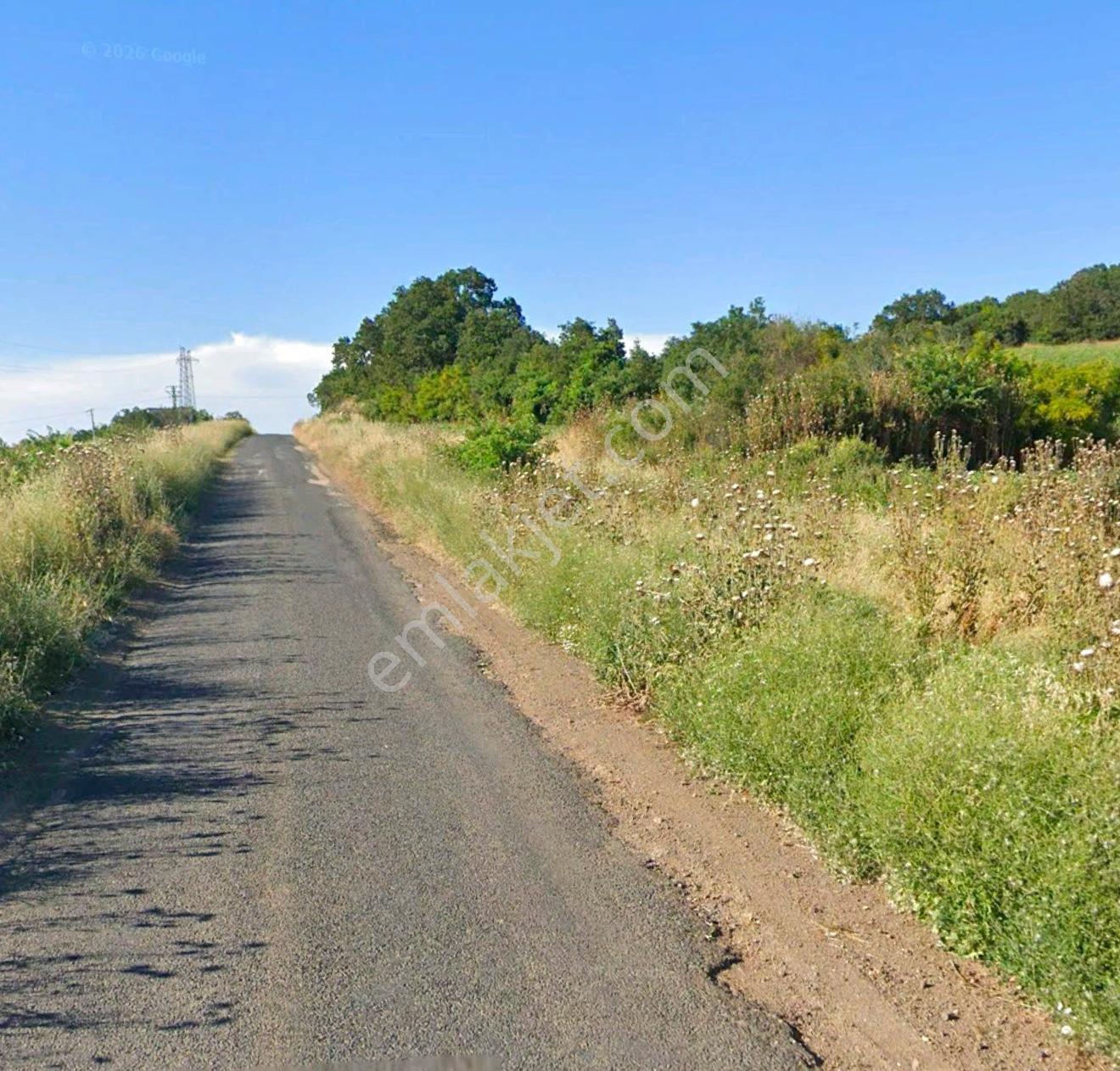 Arsambenim'den Erikli Plajına 5 Dk-asfalt Cepheli 3.832 M2 Tarla — fotoğraf 6