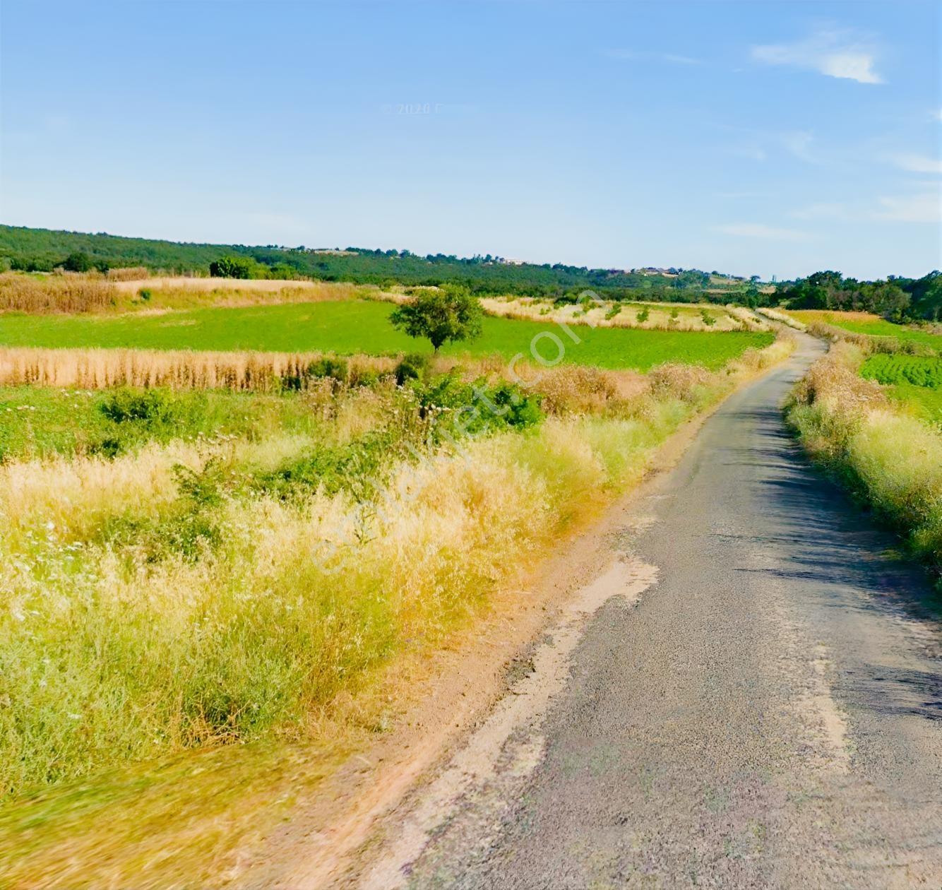 Arsambenim'den Erikli Plajına 5 Dk-asfalt Cepheli 3.832 M2 Tarla — fotoğraf 8